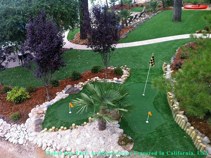 Synthetic Lawn Albuquerque, New Mexico Office Putting Green, Small Backyard Ideas
