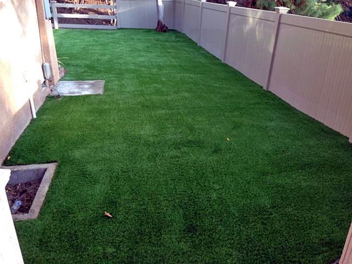 Synthetic Lawn Lake Sumner, New Mexico Dog Run, Backyard Garden Ideas