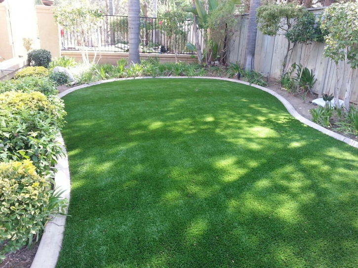 Synthetic Lawn Playas, New Mexico Design Ideas