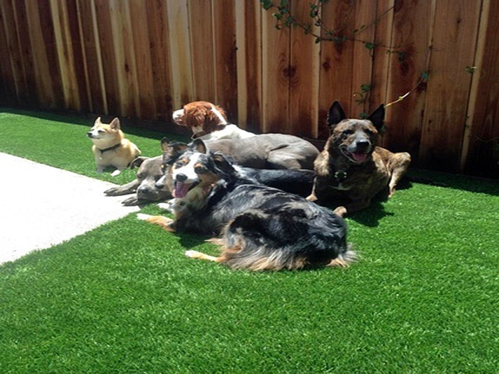 Synthetic Turf La Union, New Mexico Fake Grass For Dogs, Backyard Garden Ideas