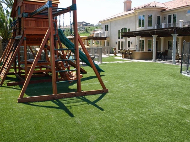 Synthetic Turf Lemitar, New Mexico Design Ideas, Backyard Landscaping Ideas