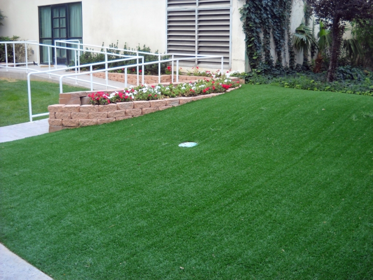 Synthetic Turf Santa Rosa, New Mexico Best Indoor Putting Green, Front Yard Ideas