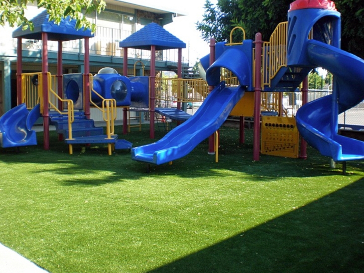 Synthetic Turf Supplier Aztec, New Mexico Lawn And Landscape, Commercial Landscape