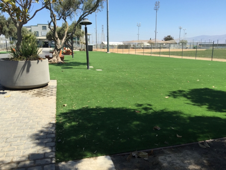 Synthetic Turf Supplier Meadow Lake, New Mexico Landscape Ideas, Parks