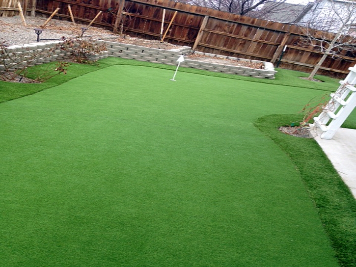 Synthetic Turf Supplier Organ, New Mexico Garden Ideas, Backyard Design