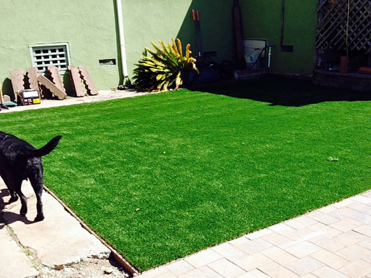 Synthetic Turf Supplier Vado, New Mexico Watch Dogs, Backyard Makeover