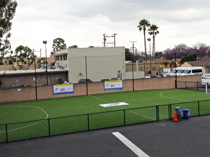 Synthetic Turf Supplier Veguita, New Mexico Sports Turf, Commercial Landscape