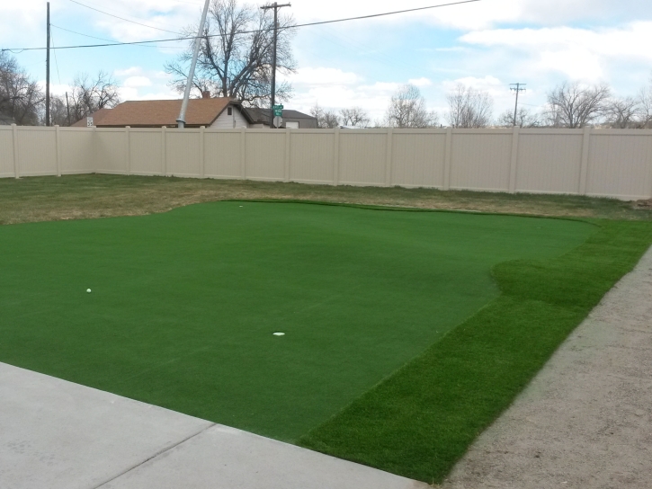 Synthetic Turf Windmill, New Mexico Putting Green Carpet, Backyards