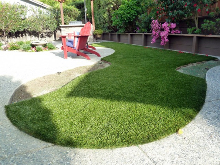 Turf Grass Anthony, New Mexico Dogs, Backyard Landscaping Ideas