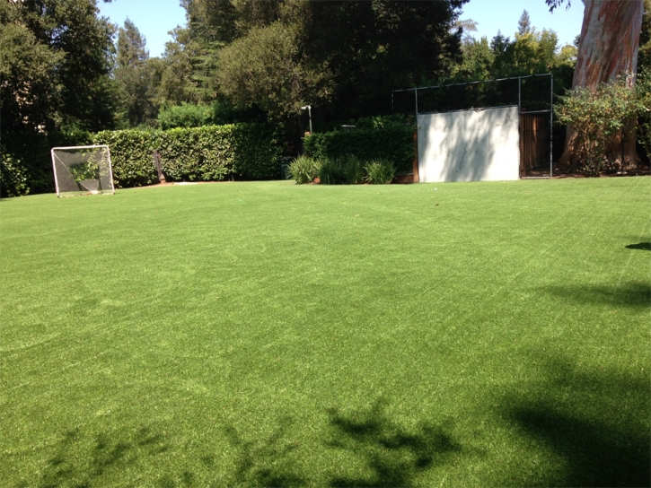 Turf Grass Bibo, New Mexico Soccer Fields, Backyard Garden Ideas