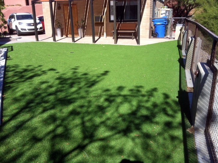 Turf Grass Grady, New Mexico Landscape Design, Small Backyard Ideas
