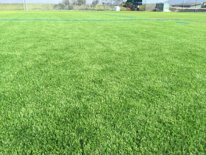 Turf Grass Nara Visa, New Mexico Garden Ideas