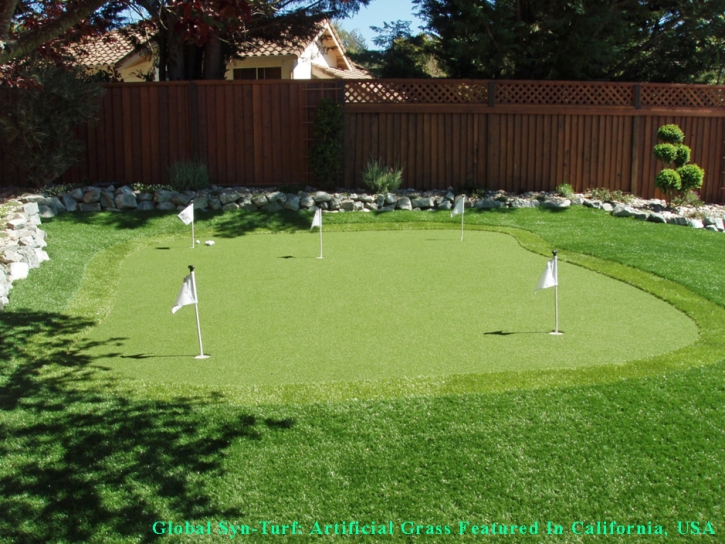 Turf Grass Sandia Heights, New Mexico Home Putting Green, Backyard Designs
