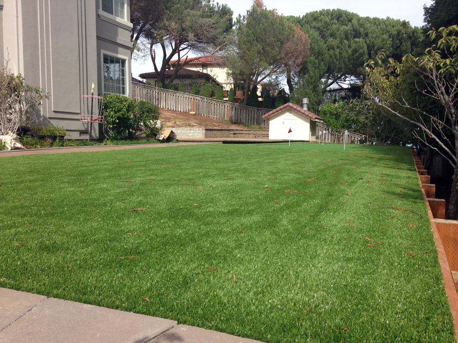 Synthetic Gr Santa Ana Pueblo New Mexico City Landscape Backyard